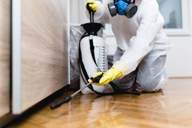 Best Mosquito Control Services  in Moosup, CT