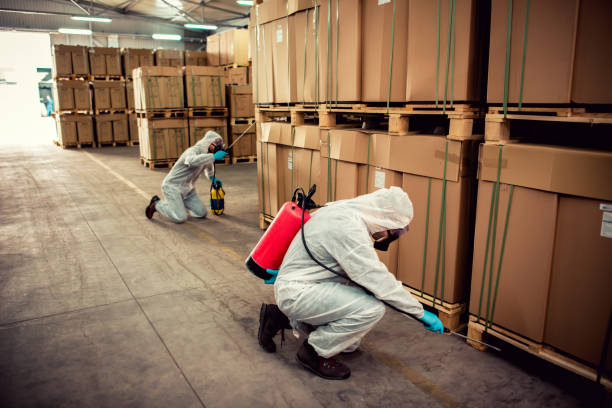 Best Residential Pest Control  in Moosup, CT
