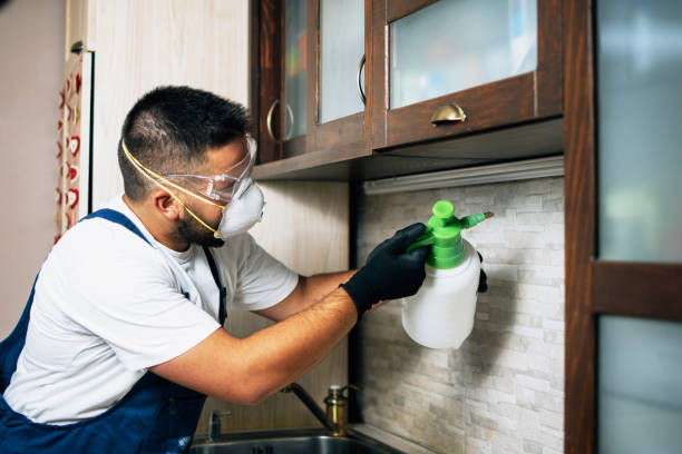 Trusted Moosup, CT Pest Control Experts