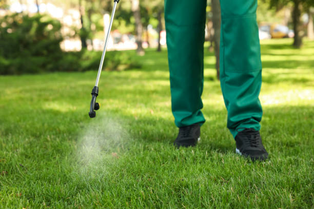 Best Pest Removal Services  in Moosup, CT
