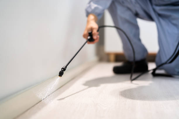 Best Commercial Pest Control Services  in Moosup, CT