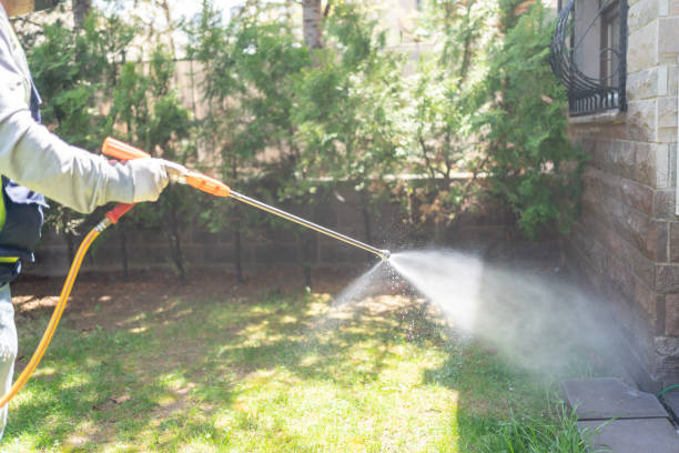 Best Pest Control Near Me  in Moosup, CT