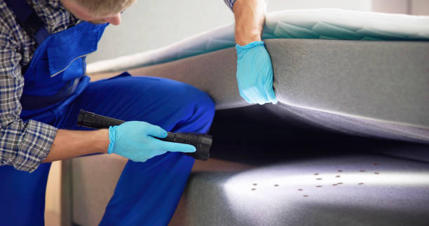 Best Ant Control Services  in Moosup, CT