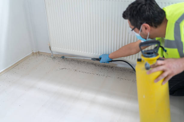 Best Bed Bug Extermination  in Moosup, CT