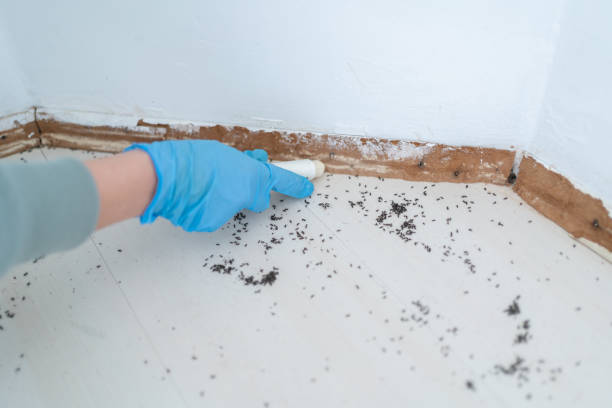 Best Wildlife Control Services  in Moosup, CT